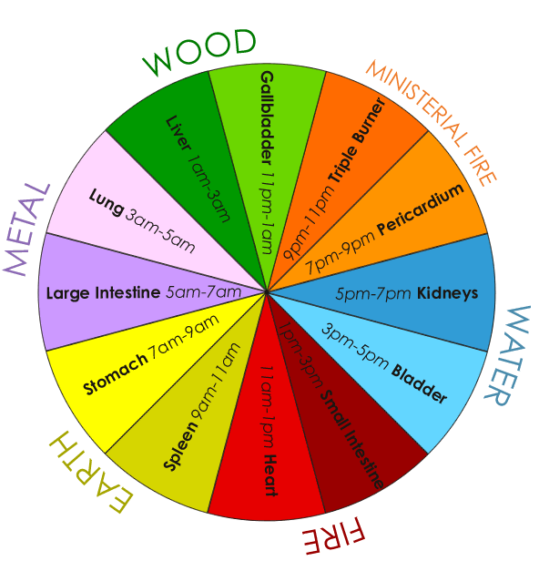 Organ Meridian Time Chart